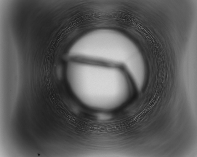 X0000098130336200804171104