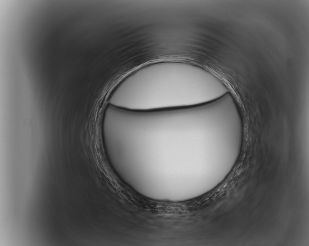 X0000098130337200804171103