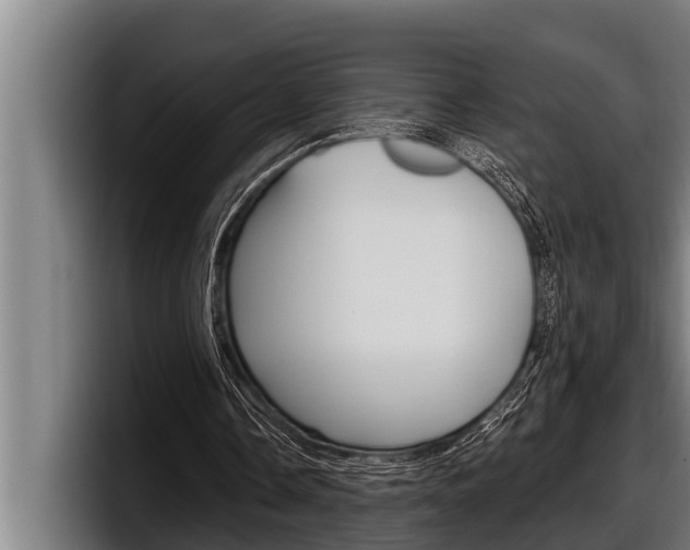 X0000098130338200804171103