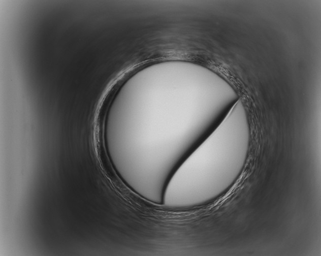 X0000098130342200804171103