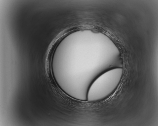 X0000098130343200804171104