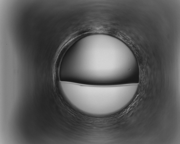 X0000098130344200804171104