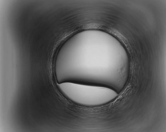 X0000098130345200804171104