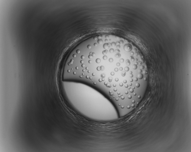 X0000098130346200804171104