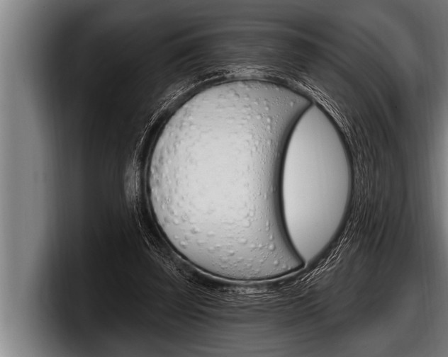 X0000098130347200804171104