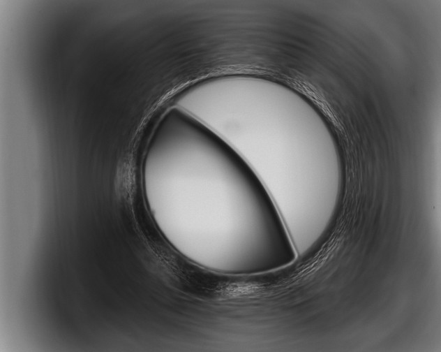 X0000098130348200804171104