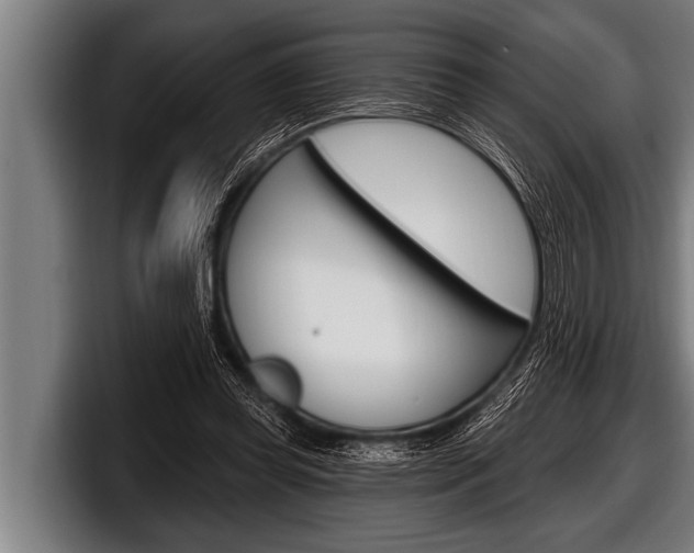 X0000098130349200804171104