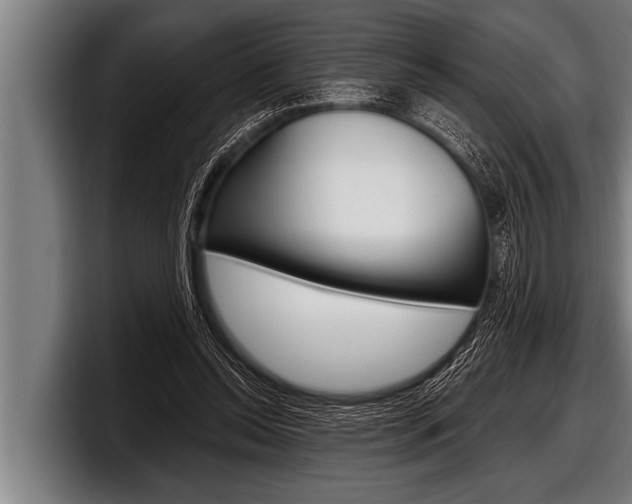 X0000098130350200804171104