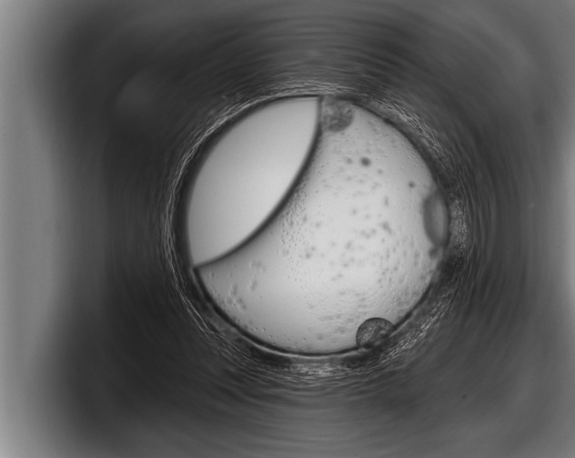 X0000098130351200804171104