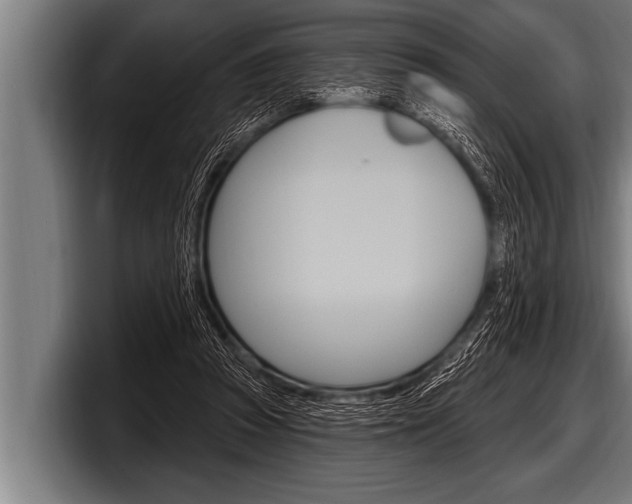 X0000098130353200804171104