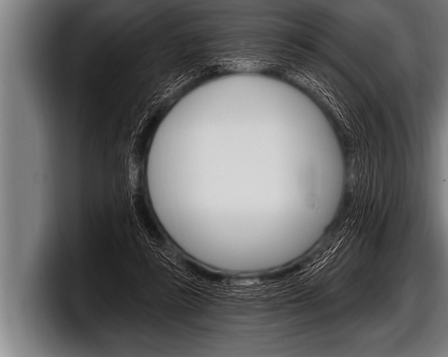 X0000098130355200804171104
