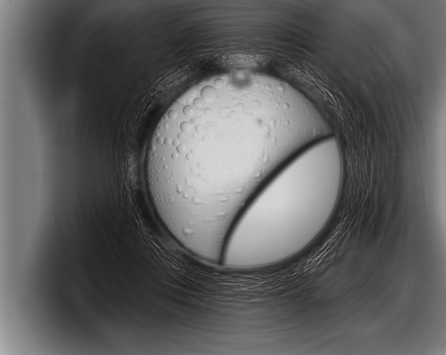 X0000098130359200804171104