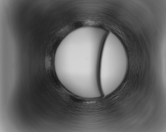 X0000098130361200804171104