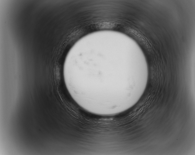 X0000098130362200804171104