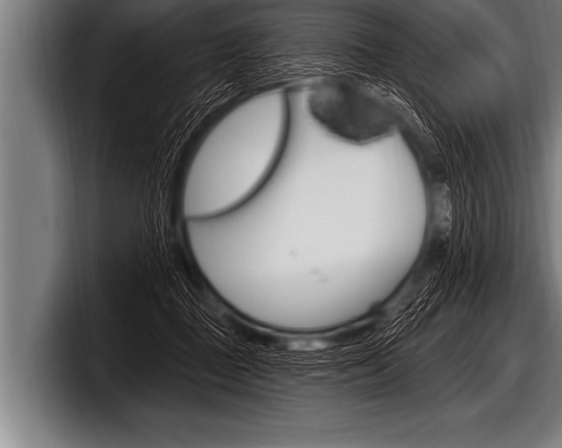 X0000098130363200804171104