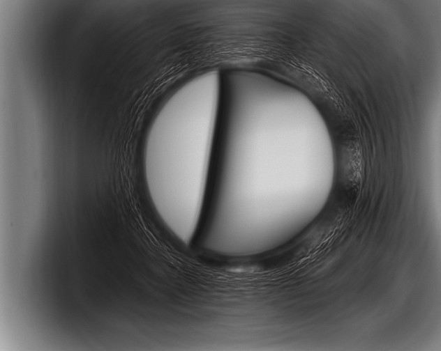 X0000098130364200804171104