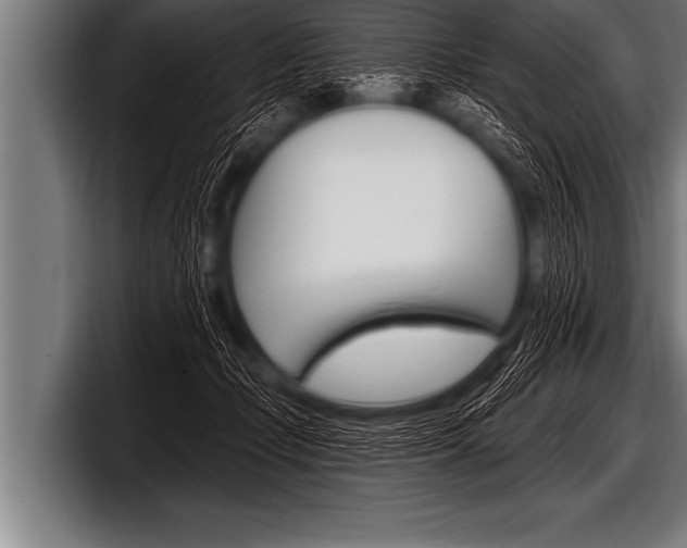 X0000098130365200804171104