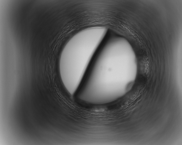 X0000098130368200804171104