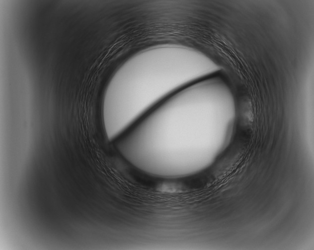 X0000098130372200804171104