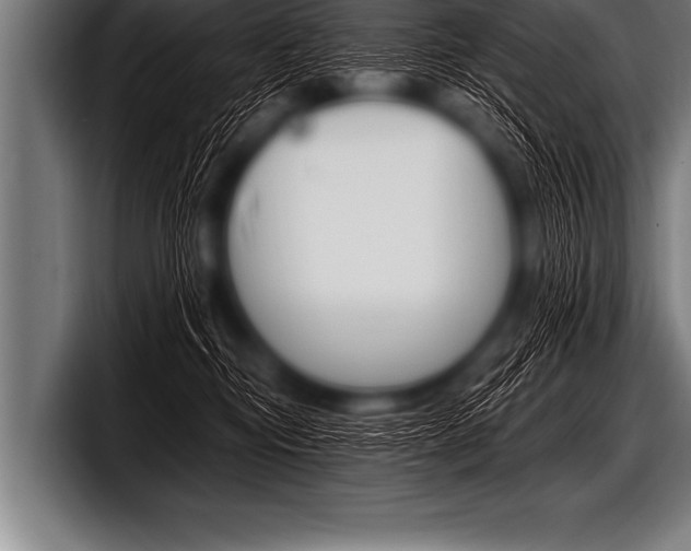 X0000098130374200804171104