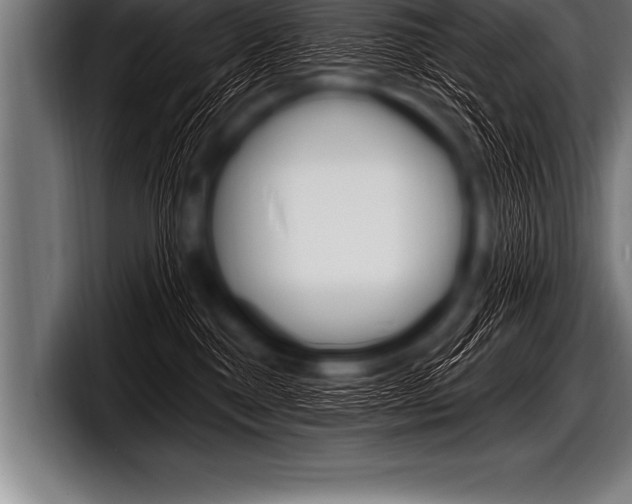 X0000098130376200804171104