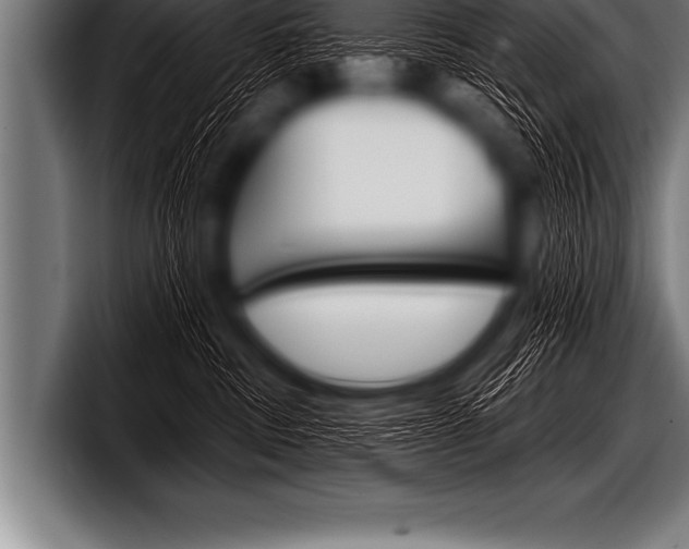 X0000098130379200804171104