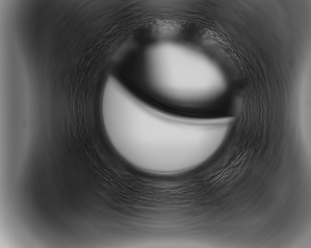 X0000098130380200804171104