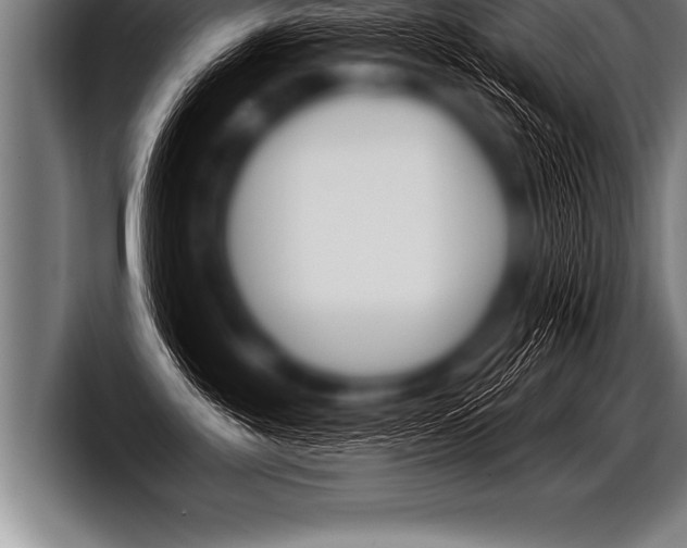 X0000098130381200804171104