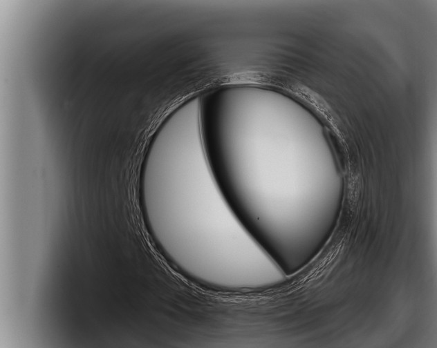 X0000098130385200804171103