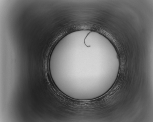 X0000098130386200804171103