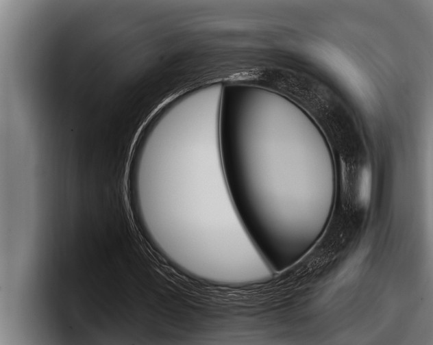 X0000098130387200804171103
