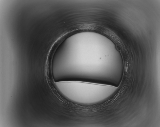 X0000098130388200804171103