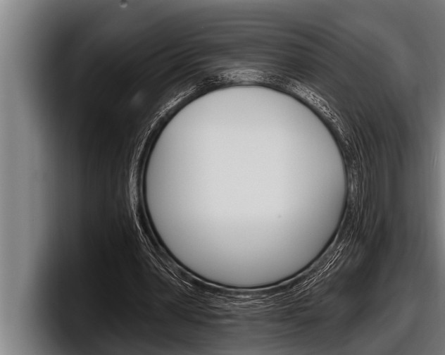 X0000098130390200804171103