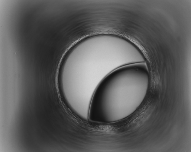 X0000098130391200804171103