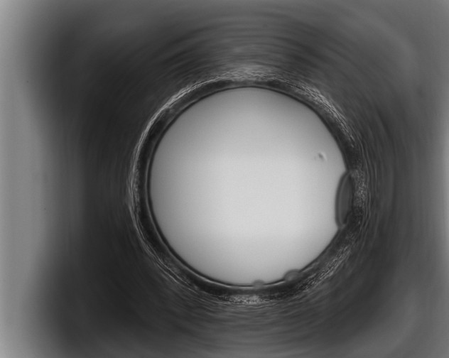 X0000098130392200804171103
