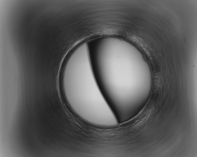 X0000098130395200804171103