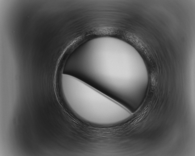 X0000098130396200804171103