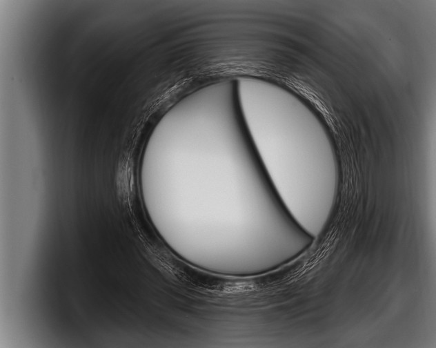 X0000098130398200804171103