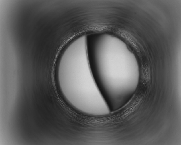 X0000098130399200804171103