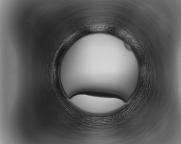 X0000098130400200804171103