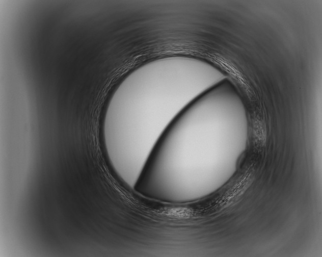 X0000098130401200804171103