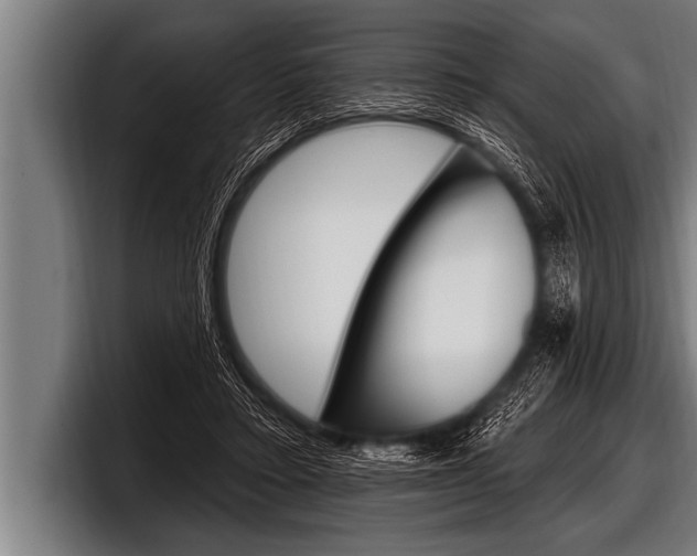 X0000098130403200804171103