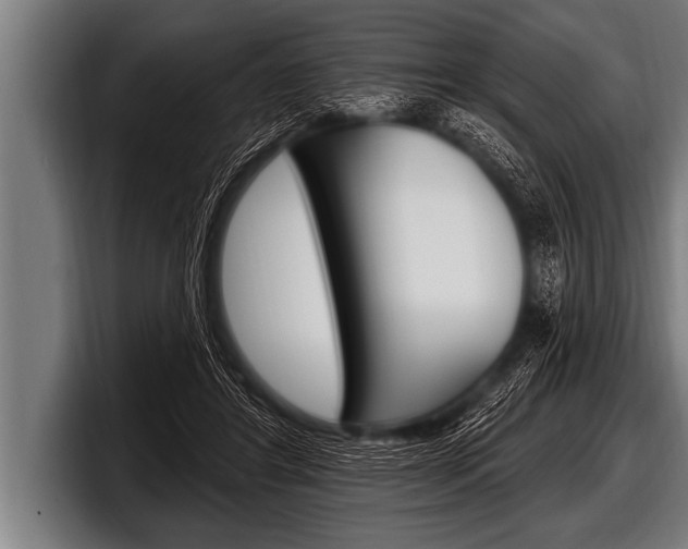 X0000098130404200804171103
