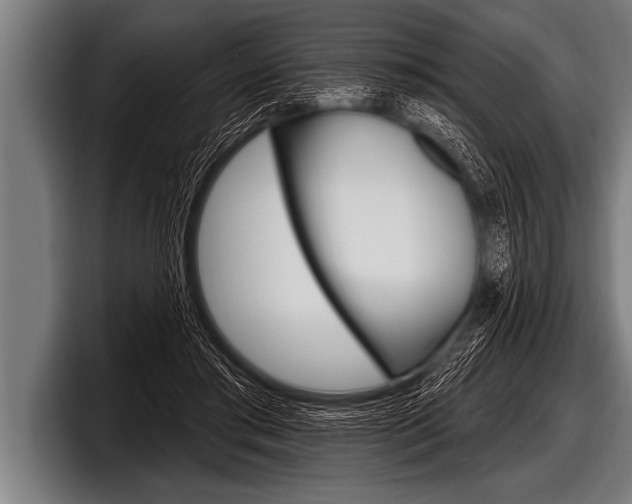 X0000098130405200804171103