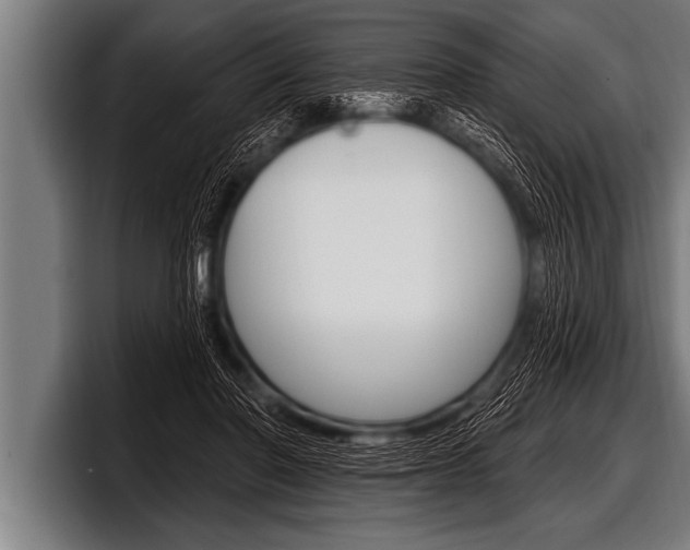 X0000098130406200804171103