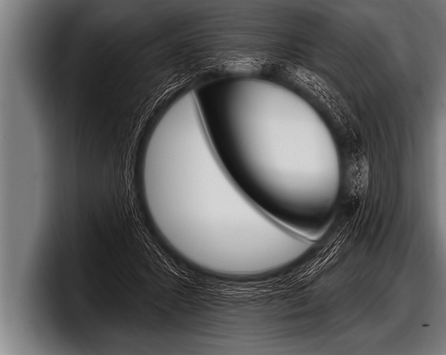 X0000098130407200804171103