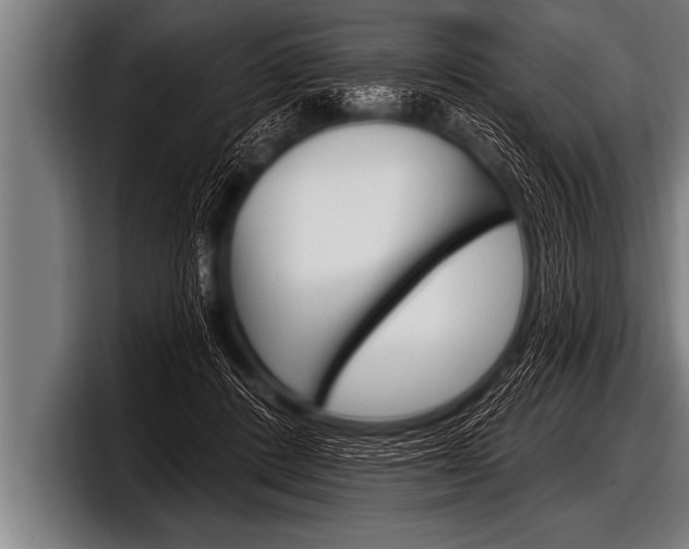 X0000098130408200804171103