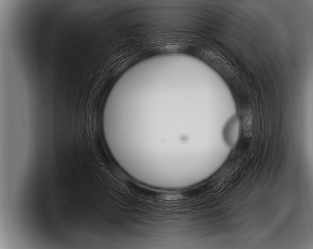 X0000098130410200804171103