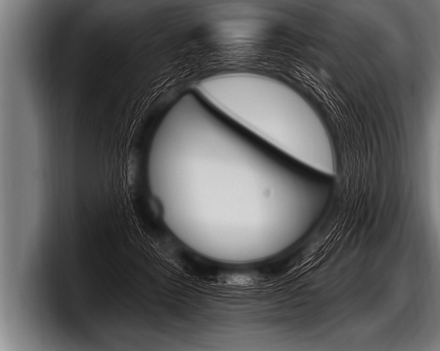 X0000098130412200804171103