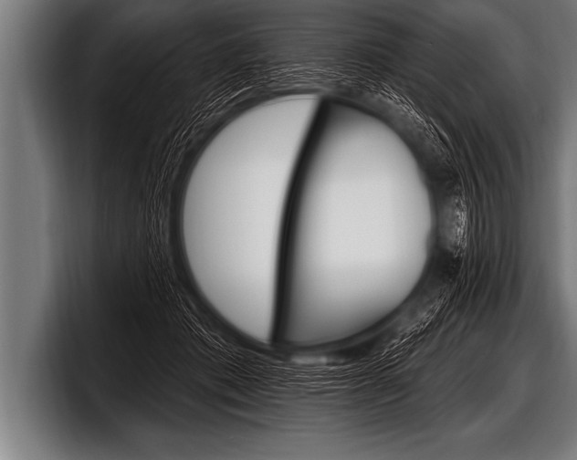 X0000098130413200804171103